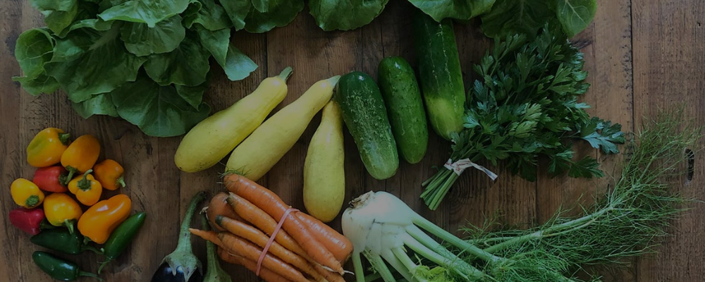 Farm fresh eggs and vegetables from regenerative farm CSA in Tennessee